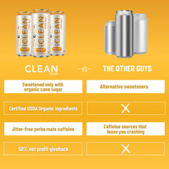 CLEAN CAUSE Lemonade Tea Yerba Mate ingredients graphic emphasizes plant-based sourcing.