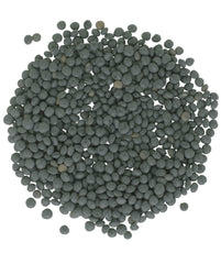 CLEAR CREEK lentils being rinsed and prepared to cook in 15–20 minutes.