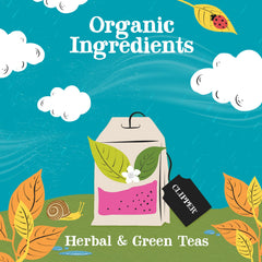 Clipper Tea gift box open with unbleached tea bags ready to brew.