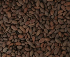 Colombian Cacao raw beans scoop for grinding at home.