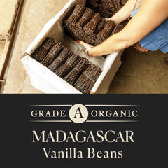 COOK'S vanilla beans 5-7in long plump pods with rich aroma