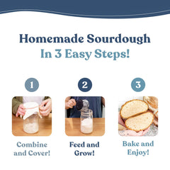 Cultures For Health artisan starter: detailed instructions for easy sourdough setup