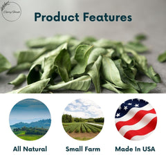Curry Forest pesticide-free curry leaves pack for clean, fresh flavors in meals.