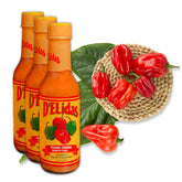 D'ELidas Habanero Hot Sauce bottle shown with bold label, ideal for grilled meats.