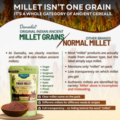 Danodia Foods Ragi cooked porridge bowl showing warm texture.