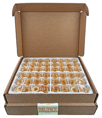 Dasher's Spice & Beans puff pastry shells ready for quick appetizers