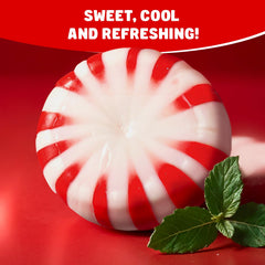 Donty-Tonty Starlight Peppermint 2 lb bulk bag for large events.