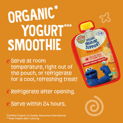 BPA-free cap on Earth's Best Yogurt Smoothie Pouch for easy on-the-go feeding.