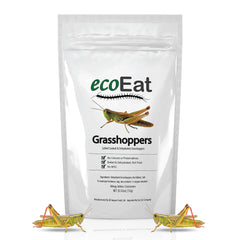 ecoEat edible grasshoppers 15g pack, front view, a protein-rich on-the-go snack.