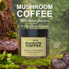 Eco-Taste decaf mushroom coffee cup showing a cozy daily ritual