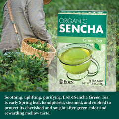 Eden Organic Sencha green leaves harvested for bright flavor and natural goodness