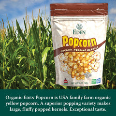Eden popped kernels appear fluffy in a bowl.