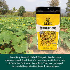 Eden pumpkin seeds in a bowl, ready for sharing.