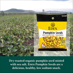 Eden pumpkin seeds pocket snack 1-ounce portion perfect for school or work.