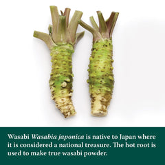 Eden Wasabi on sushi plate provides bright heat for nigiri.