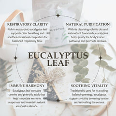 Elanen Naturals eel eucalyptus leaf tea BPA-free packaging highlights purity