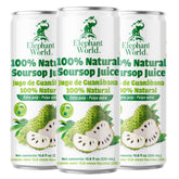 ELEPHANT WORLD Soursop juice bottle front, convenient six-pack for on-the-go hydration.