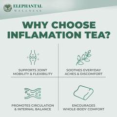 Elephantal Wellness ginger-cinnamon parsley brew supports circulation during activity.