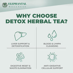 Elephantal Wellness turmeric-ginger-cayenne mix, suggesting improved digestion and circulation.