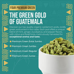 Eletary green cardamom pods aroma close-up highlighting rich fragrance for cooking.