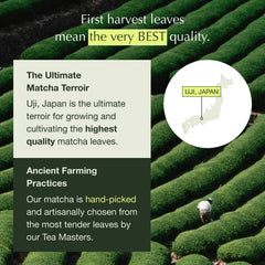Encha latte grade matcha powder added to smoothies for balanced flavor.
