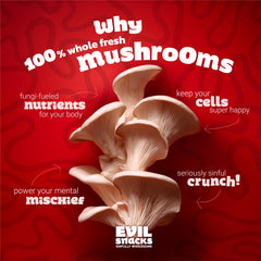 EVIL SNACKS Crunchy Mushroom Chips on-the-go pack, ideal travel snack.