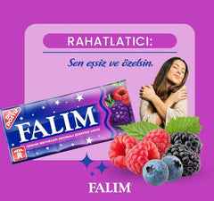 Falim Plain Gum Forrest Fruits on-the-go pocket-friendly packaging ideal for travel
