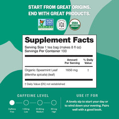 FGO Organic Spearmint Tea with Abaca fiber bags, eco-friendly packaging.