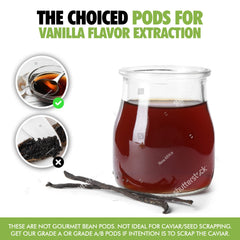 FITNCLEAN vanilla beans in vacuum-sealed pack preserve freshness and aroma.