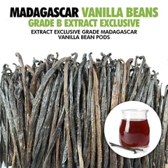 FITNCLEAN dried aromatic vanilla beans ready for aroma extraction