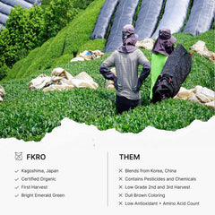 FKRO matcha aromas of nori, sweet potato, and chestnut enhance flavor