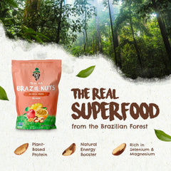 Floresta em Pé Tropical Trail Mix Brazil nuts close-up highlighting crunch