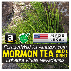 ForagedWild Mormon Tea dried subalpine tea from Western USA.