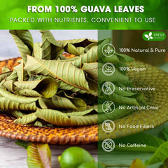 FreshDrinkUS guava leaves in hygienic packaging for long storage