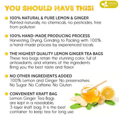 FreshDrinkUS Lemon Ginger tea bag closeup with dried lemons visuals hints at bright aroma.