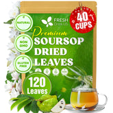 FreshDrinkUS soursop leaves in whole-leaf form for caffeine-free herbal tea.