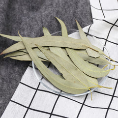 FullChea dried eucalyptus leaves tea steep for refreshing steam infusions.