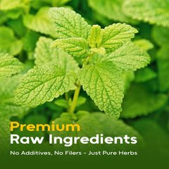 FullChea Lemon Balm leaves display 100% natural Melissa officinalis for soothing brews.
