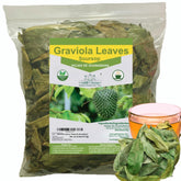 Gabio Green Soursop Leaves Premium provides a large infusion base with aromatic, inviting notes.