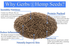 GERBS hemp seeds in a bowl, adding protein and fiber to meals.