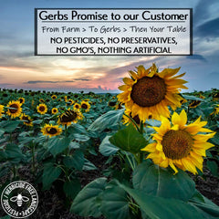 GERBS close-up crunch highlights natural nutty aroma and satisfying texture.