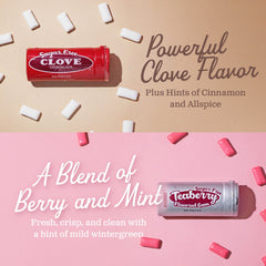 Gerrit's sugar free gum Teaberry tube offering refreshing bite