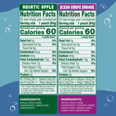 GoGo squeeZ Ocean Grape Orange pouch; gluten-free and BPA-free portable snack.