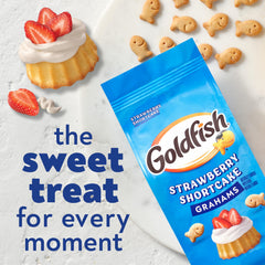 Goldfish Grahams Strawberry Shortcake close-up showing crisp graham bite.