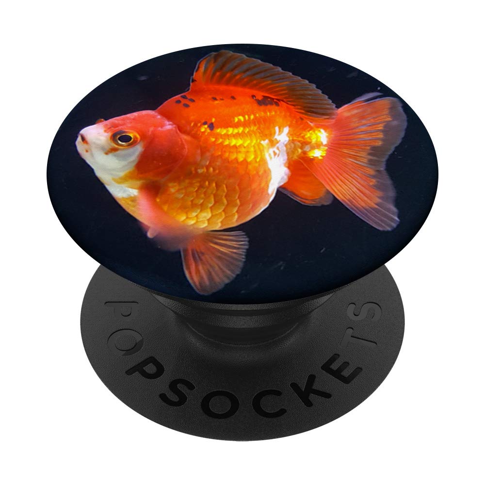 Goldfish PopGrip front view showing Goldfish design and durable finish