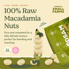 Goodsam macadamia nuts closeup shows premium texture and mild sweetness