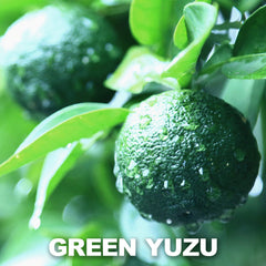 Granular Chaganju Yuzu Kosho paste close up showing citrus texture and heat
