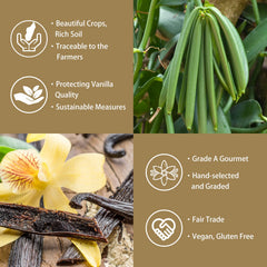 Grelim vanilla bean powder in dough, perfect for desserts
