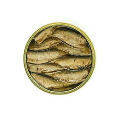 GRILLED CATCH brisling sardines smoked close-up highlights rich texture for gourmet recipes.