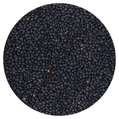 Hampton Distribution Black Beluga lentils bulk bag for pantry staple and easy meals.